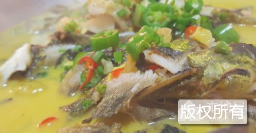 龙门黄辣丁