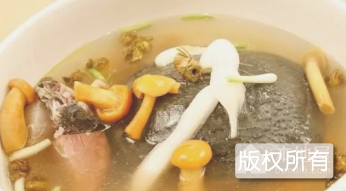 大蒜炖甲鱼