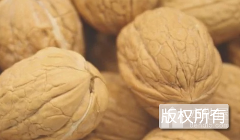 肇州核桃