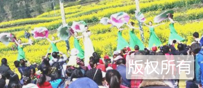 恩施向王节