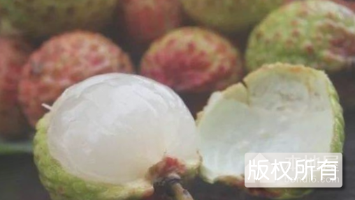 观音绿荔枝