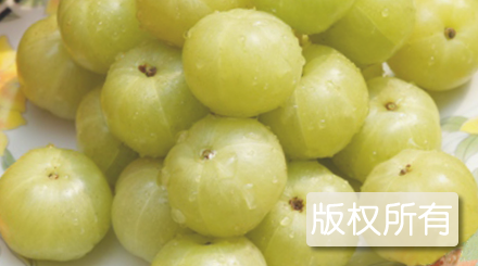 大肉余甘果
