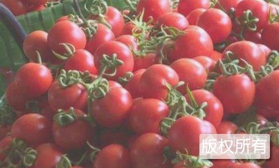 武鸣番茄