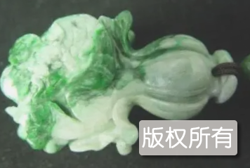 “玉翠牌”大白菜