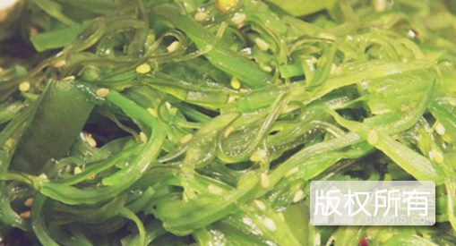 裙带菜