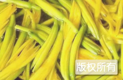 随州黄花菜