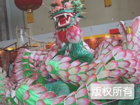 长兴百叶龙