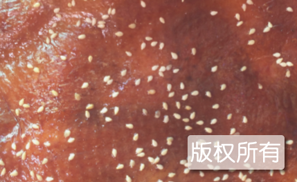 酱烧琵琶鸭