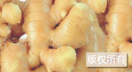 永福生姜