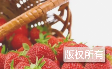 腾鳌温泉草莓
