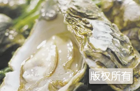 庄河牡蛎