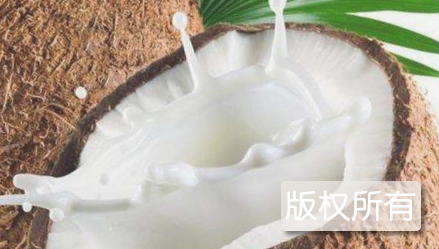 海南椰子