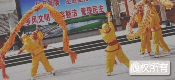五节龙