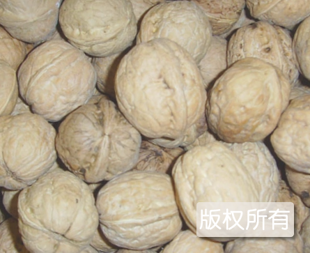 门头沟纸皮核桃
