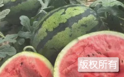 王因西瓜