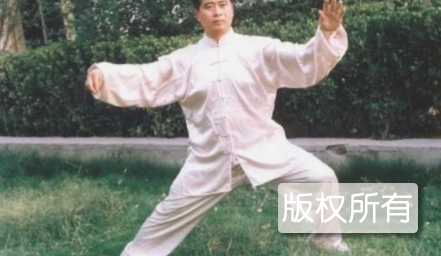 赵堡太极拳