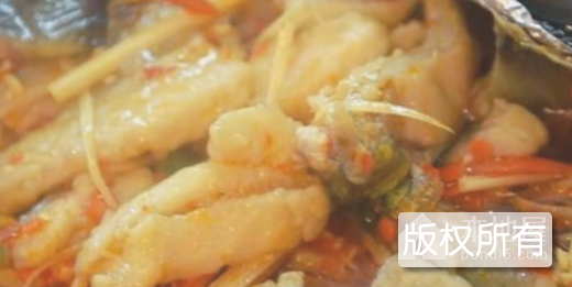 苌弘鲶鱼