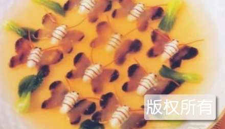 蝴蝶海参