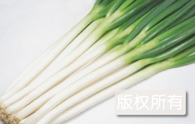 玉沿大葱