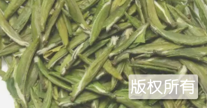 叙永草坪翠芽