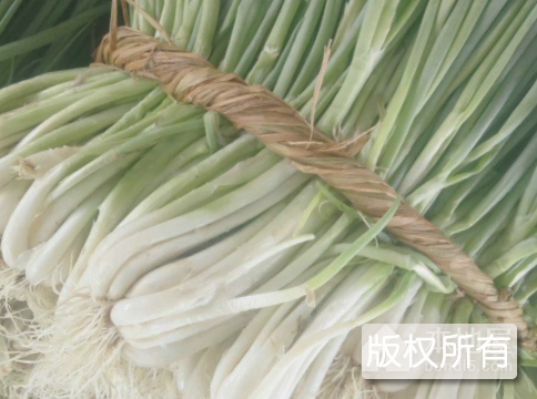 颍泉大葱