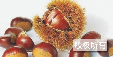 集安板栗