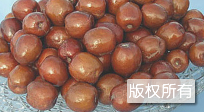 台儿庄圆铃枣