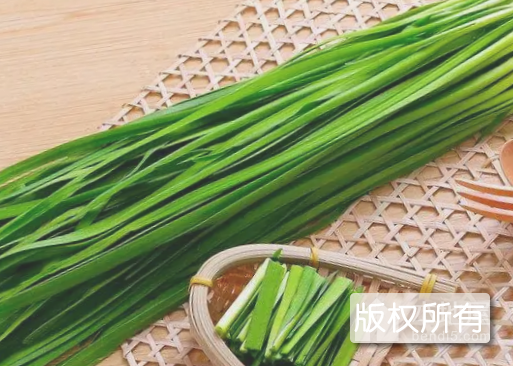 呼兰韭菜