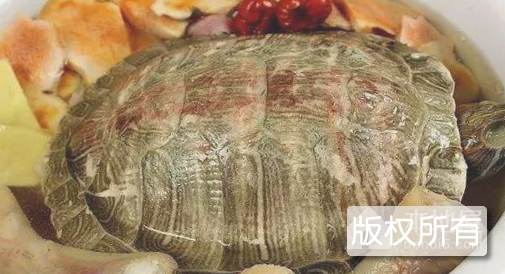 湘阴七彩龟