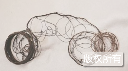 凌云背陇瑶捕鸟习俗