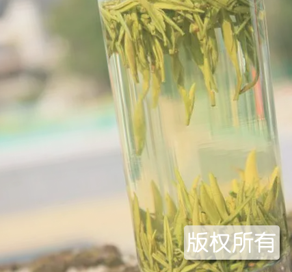 雾里清茶
