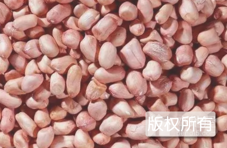 傅家花生