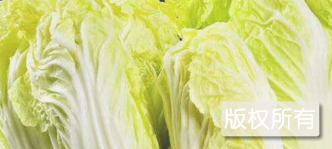 彭水雷公盖白菜
