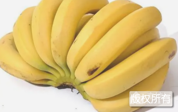 香蕉、大蕉