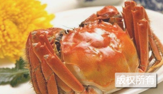 太湖大闸蟹