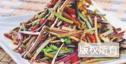 脊丝蕨菜