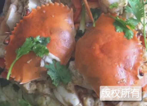 芙蓉蝤蠓