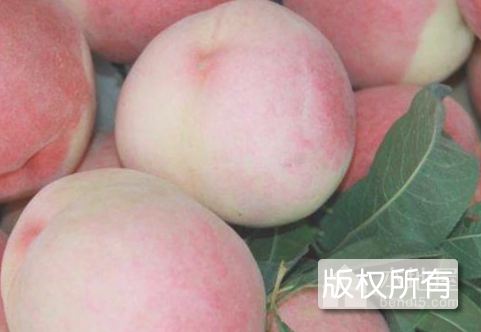蜜汁鲜桃