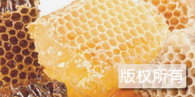 伏牛山土蜂蜜