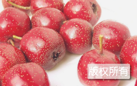 泽州红山楂