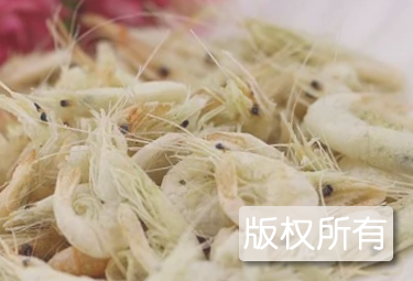 巢湖白虾