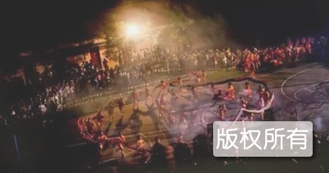 舞草龙