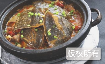 御景有机甲鱼