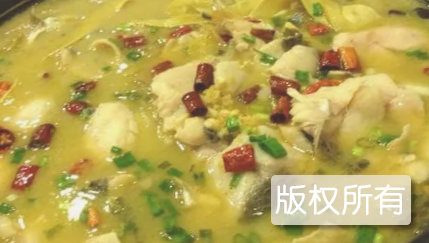 泡菜鱼