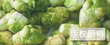 龙孔大头菜