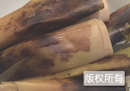 清水盐笋