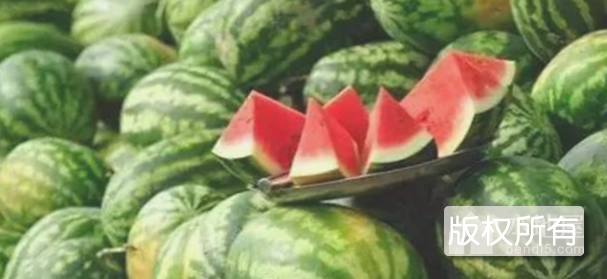 小梁山西瓜