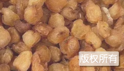 桂圆肉