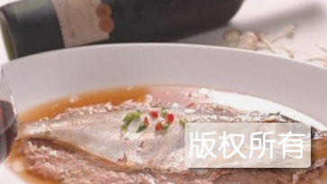 糟白鳓鱼