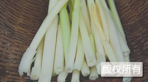 大明湖蒲菜
